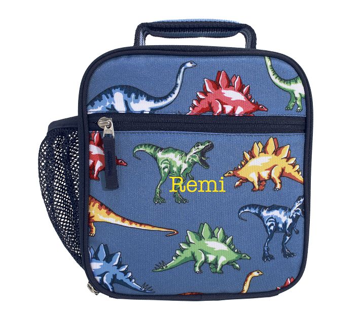 Colourful Dinosaur Lunch Box, School Lunch Bag
