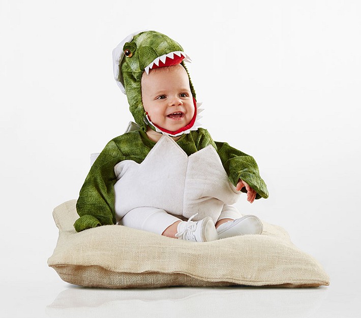 Baby Green Dinosaur Egg Halloween Costume