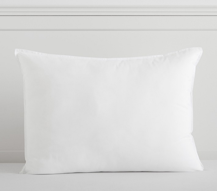 Outdoor 20 in. x 20 in. Pillow Inserts Set of 4 Water Resistant