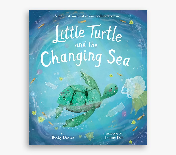 Little Turtle and the Changing Sea by Becky Davies: 9781680101997 |  : Books