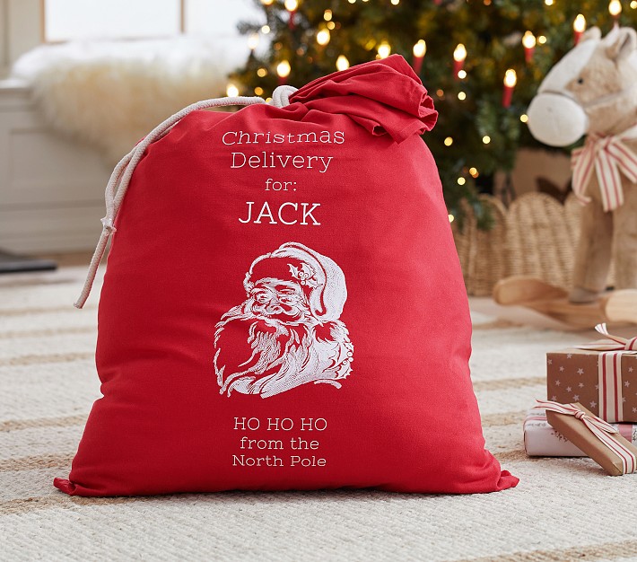 Peanut Christmas Zip/pouch Bag 