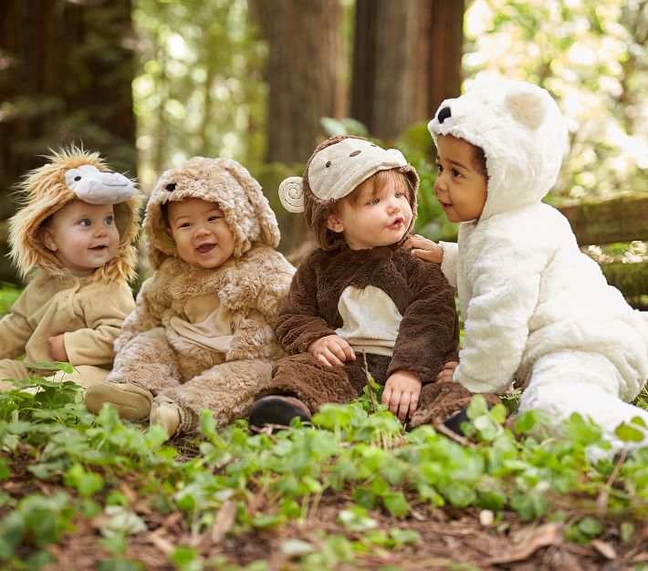 Baby Monkey Halloween Costume Pottery Barn Kids