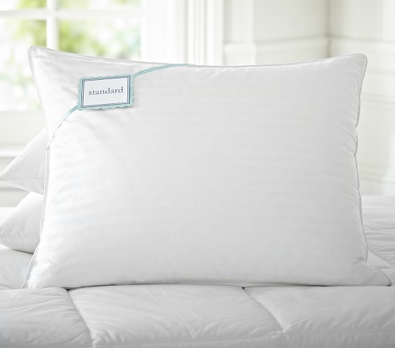 Luxury Loft Down Alternative Decorative Pillow Inserts