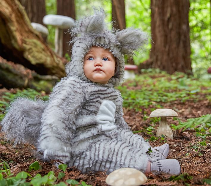 Baby Squirrel Costume Pottery Barn Kids