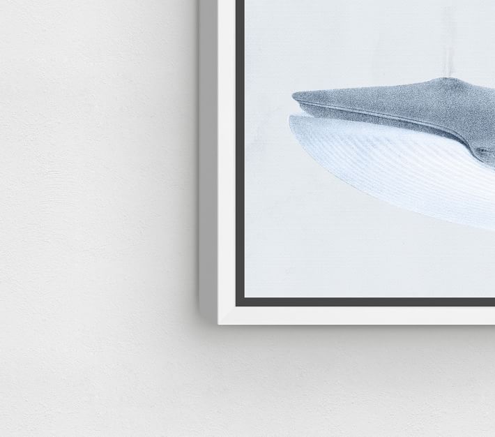 Whales Wall Art Pottery Barn Kids
