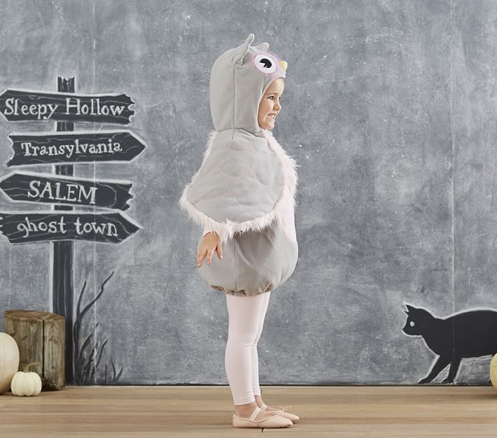 Toddler Owl Halloween Costume Pottery Barn Kids