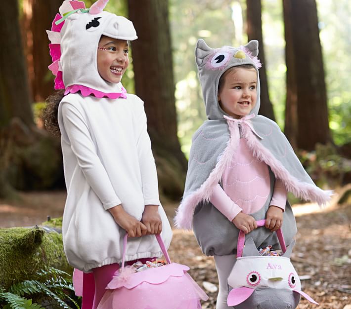 Toddler Owl Halloween Costume Pottery Barn Kids
