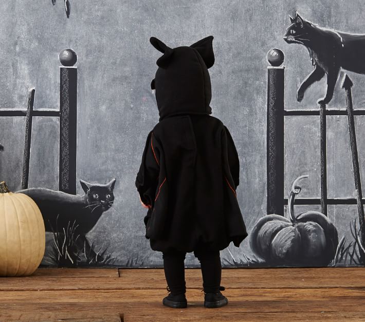 Baby Bat Halloween Costume Pottery Barn Kids