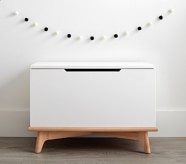 Toy chest clearance modern