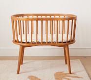 Bassinet with 2024 wood frame