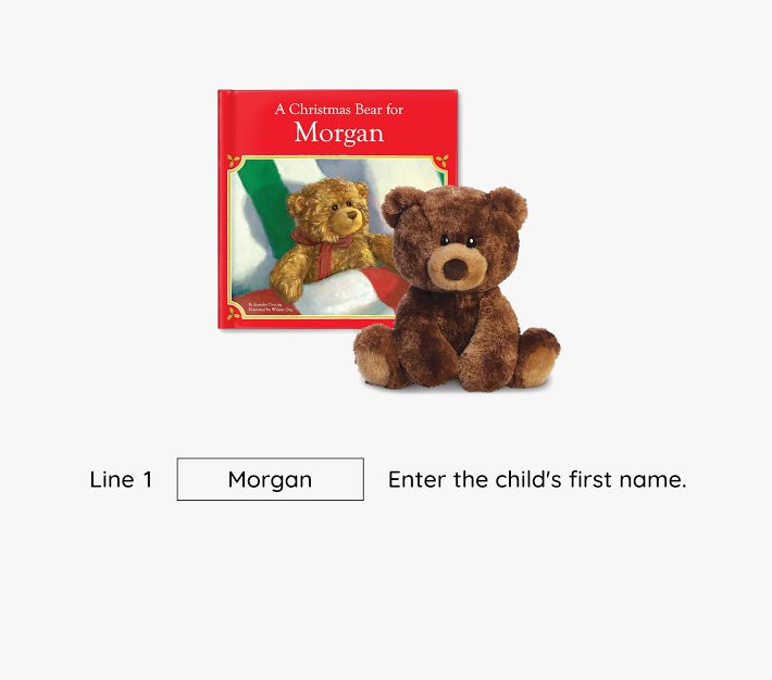 Book and Bear - Christmas Teddy Bear Stuffing Kit and Book Large Teddy Bear / Picture Book