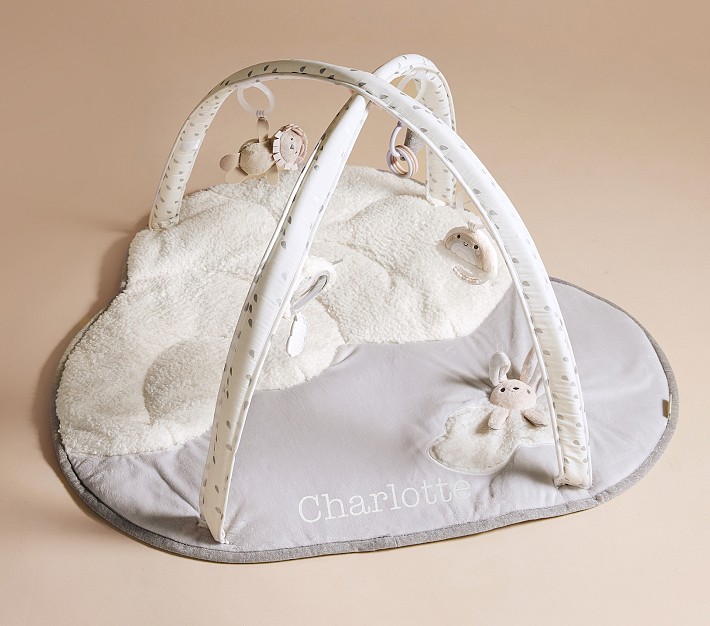 Skip Hop x pbk Baby Activity Gym | Pottery Barn Kids