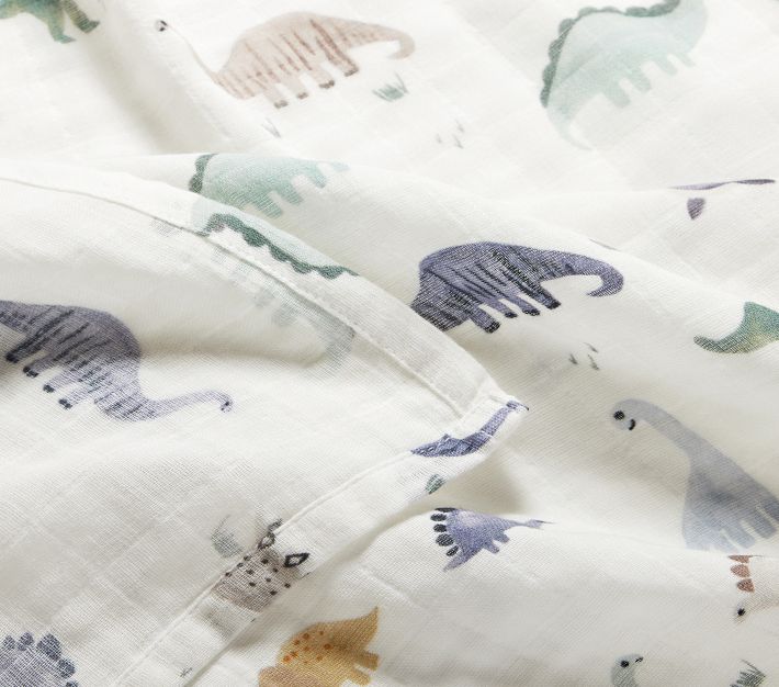 Dinosaur swaddle outlet