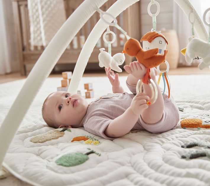 Pottery Barn baby activity play gym-Animal Friends classic - baby