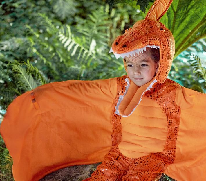 Child Pterodactyl Costume