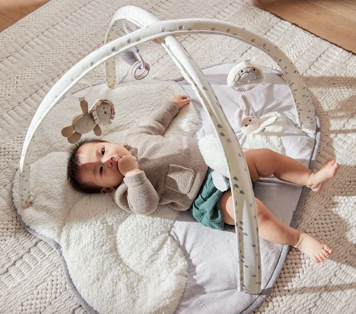 Skip Hop x pbk Baby Activity Gym | Pottery Barn Kids