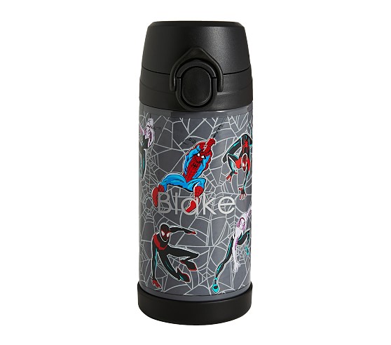 Spider-Man Water Bottle, Hobby Lobby