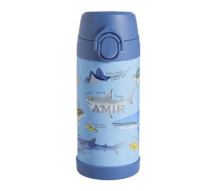 Disney Frozen Carrying Strap One Touch Water Bottles with Reusable Built in Straw - Safe Approved BPA Free, Easy to Clean, Perfect Gifts for Kids