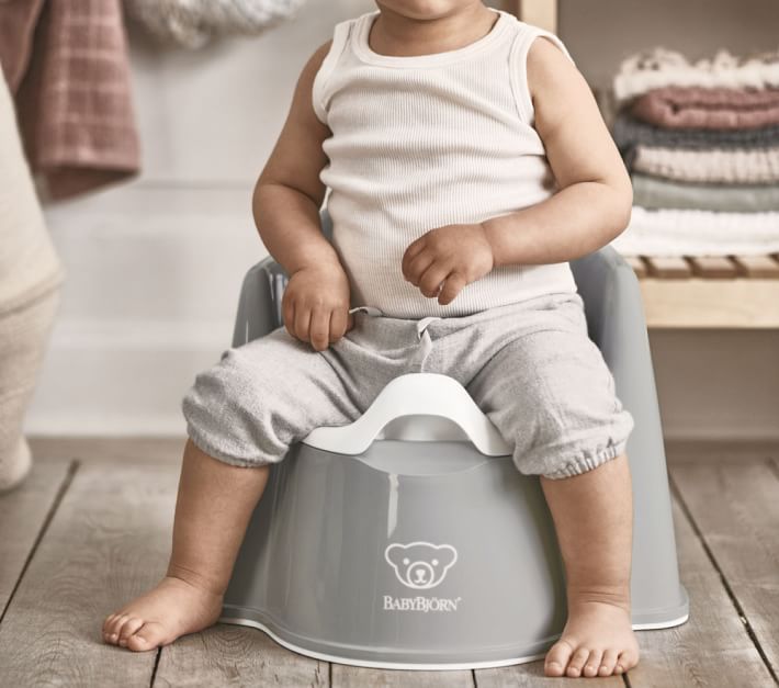 Baby bjorn hot sale potty trainer