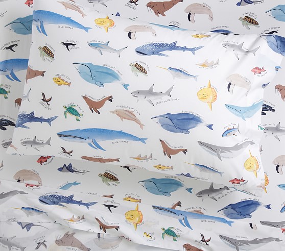 Pottery barn kids top shark sheets