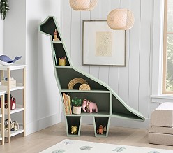 Dinosaur Bookcase
