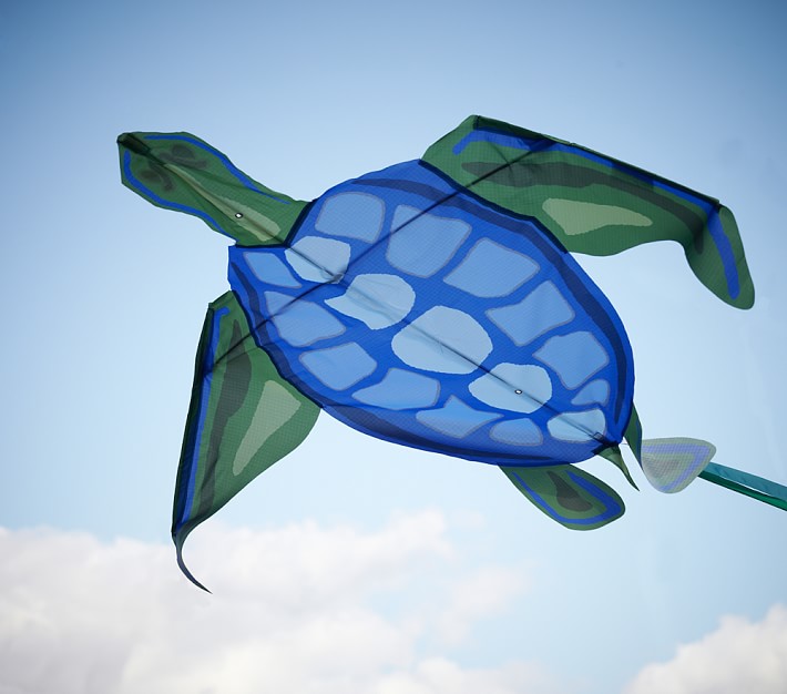 Blue Turtle Kite