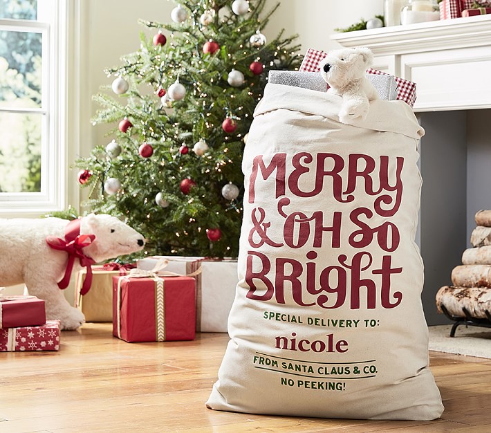Merry and Oh So Bright Santa Bag