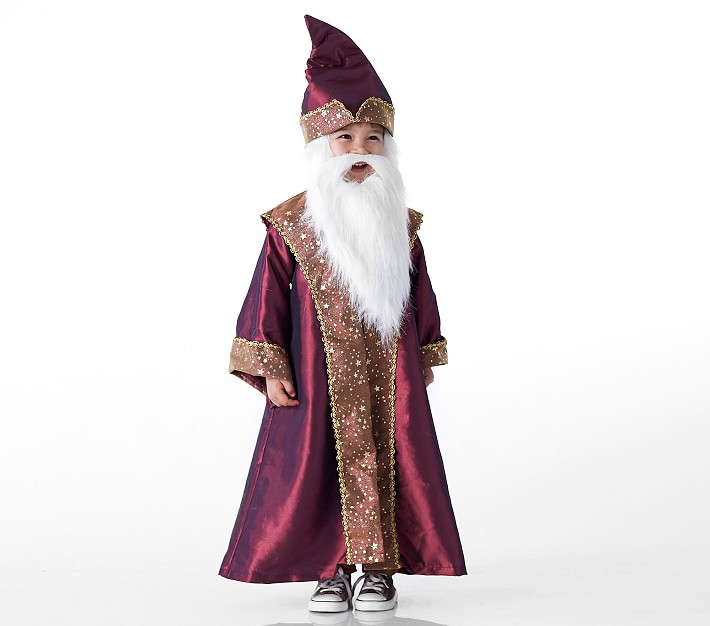 Toddler&#160;Harry Potter&#8482; Dumbledore&#8482; Halloween Costume
