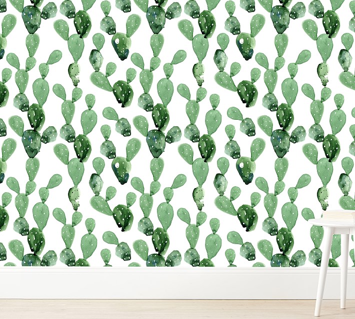 Anewall Cactus Mural