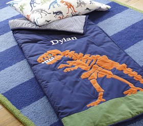 Dino Kids Sleeping Bag | Pottery Barn Kids