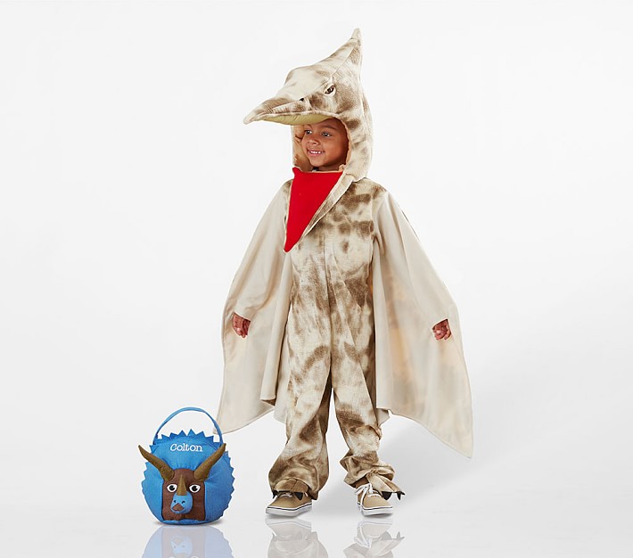 Kids Pterodactyl Halloween Costume