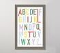 Colorful Alphabet Framed Art