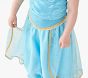 Disney Princess Jasmine Costume