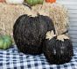 Black Vine Light-Up Pumpkins, Set of 2