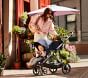 Cybex Gazelle S Stroller