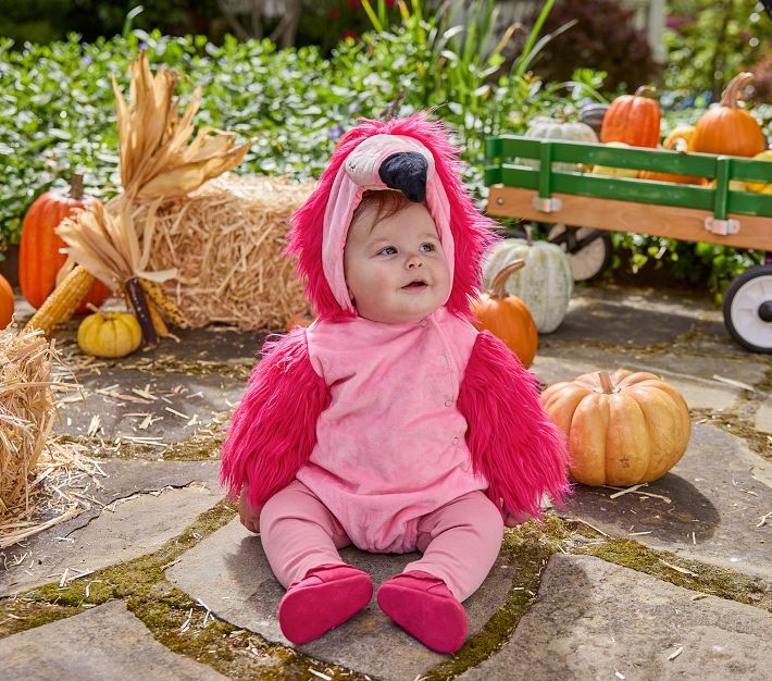 Newborn flamingo outfit best sale