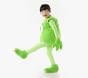 Disney and Pixar <em>Monsters, Inc.</em> Mike Costume