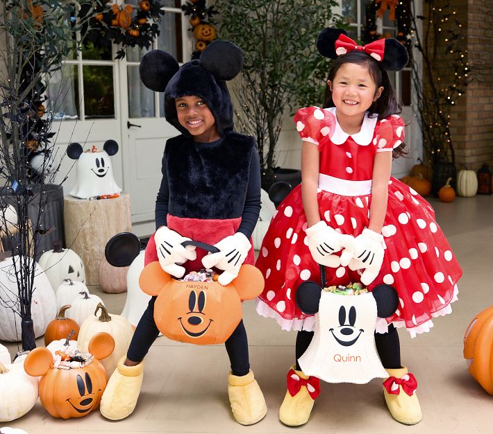 Disney Minnie Mouse Costume