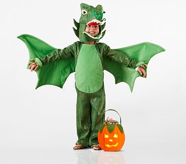 kids-green-dragon-halloween-costume-m.jpg