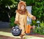 The Wizard of Oz&#8482; Cowardly Lion&#8482; Costume