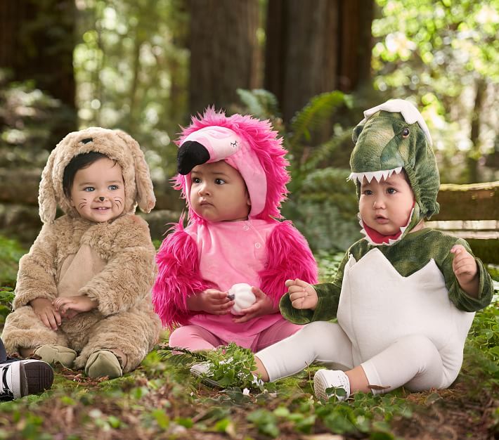 Baby Dinosaur Egg Costume | Pottery Barn Kids