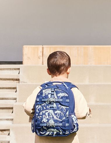 Best backpack for 4 year old best sale