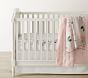 Meredith Picture Perfect &amp; Allover Floral Organic Crib Fitted Sheet Bundle - Set of 2