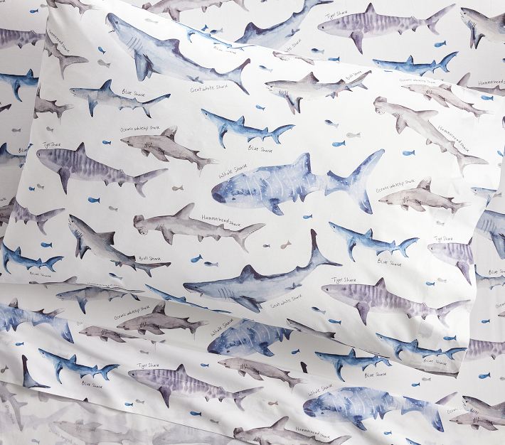 Pottery barn kids shark sheets new arrivals