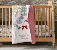 Baby Quilts Pottery Barn Kids