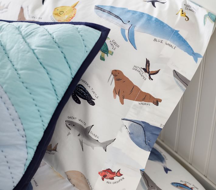 Pottery orders Barn Kids TWIN Shark Duvet AndPillowcase. READ