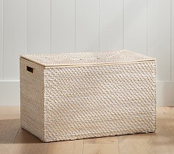 Quinn Lidded Storage Trunk