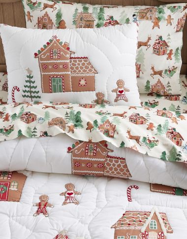 Pottery barn christmas blanket sale