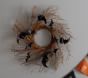 Halloween Bat Wreath