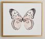 Butterfly Framed Art